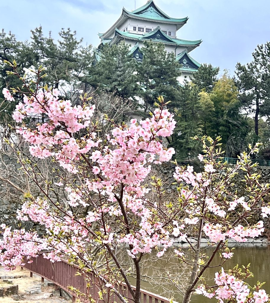 名城公園　散歩