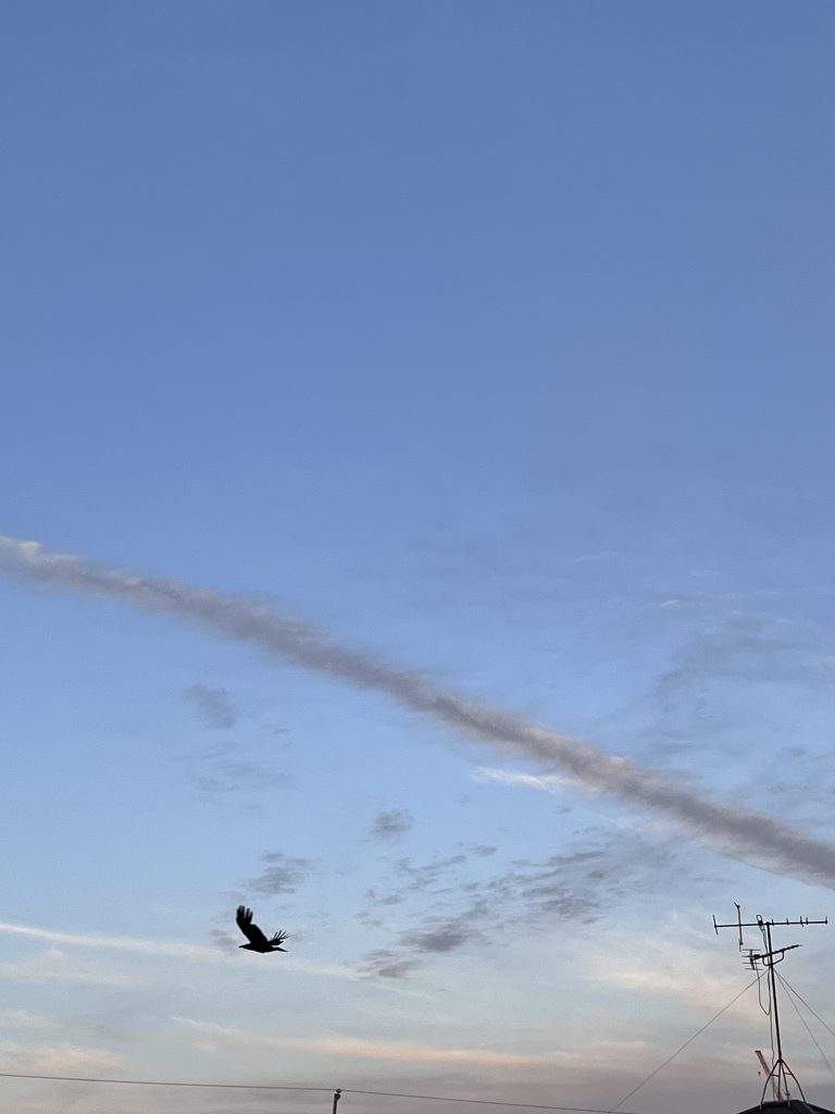 朝の青空