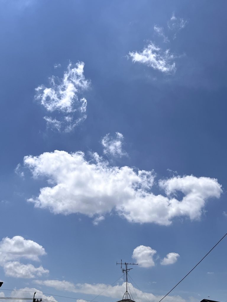 クジラさんの雲
