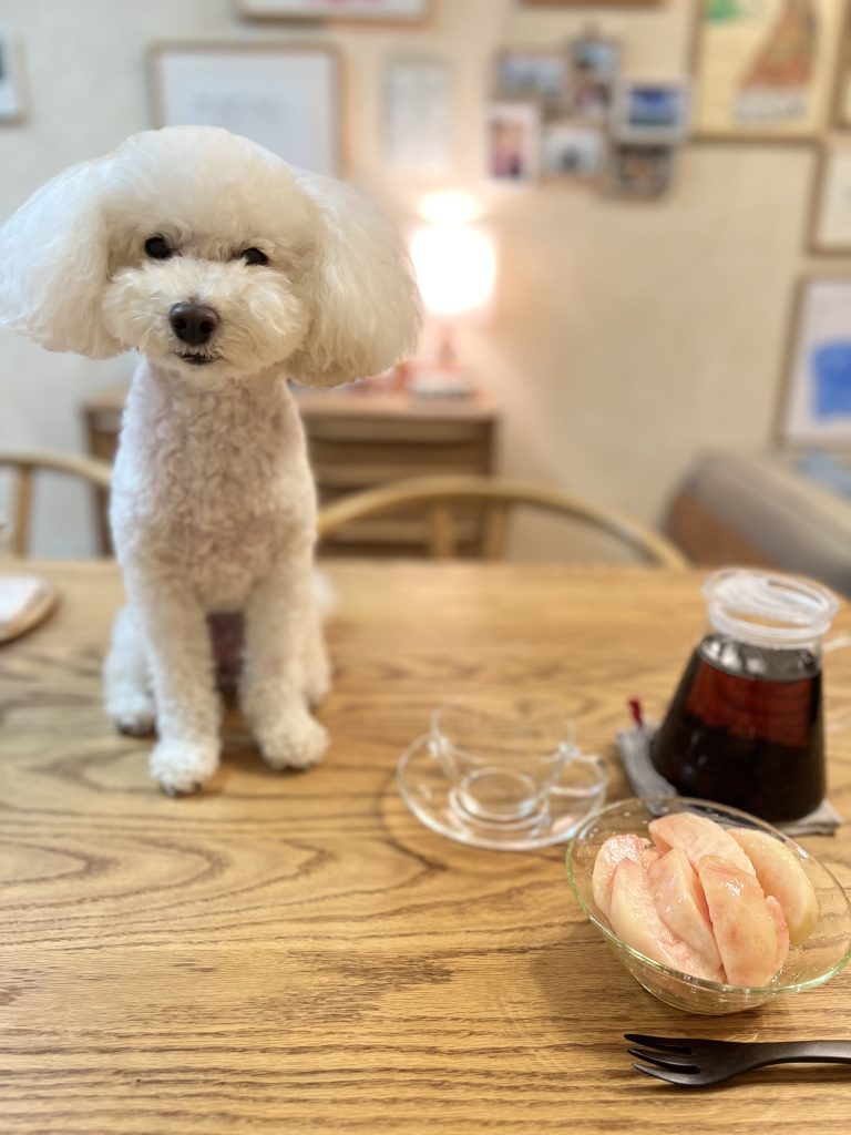 ゆずとティータイム