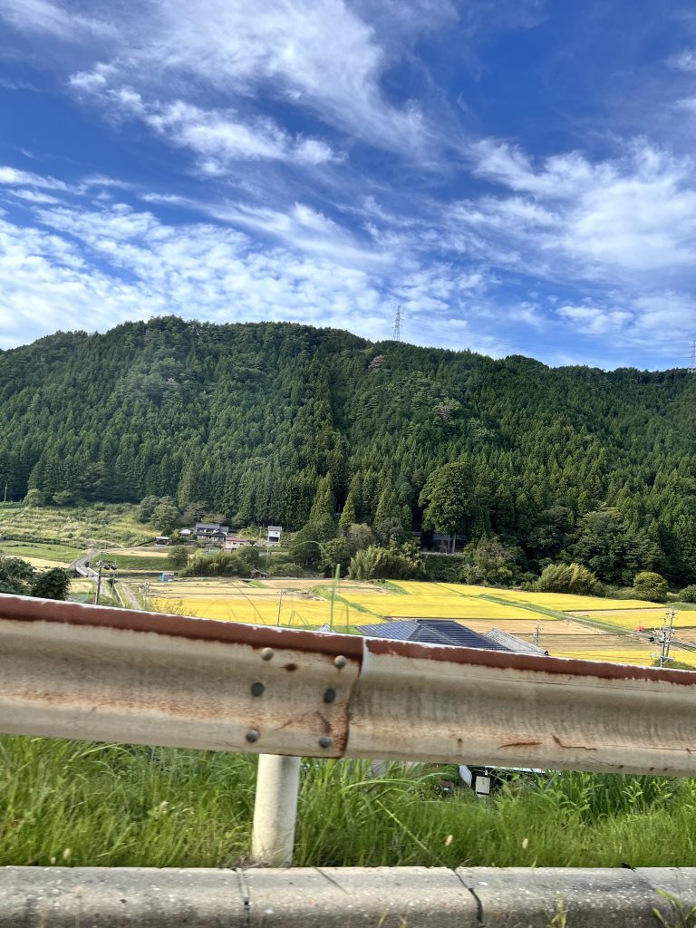 道の駅どんぐりの里いなぶ