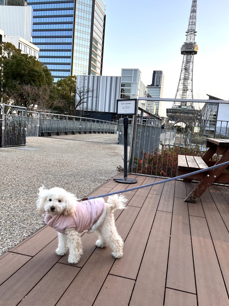久屋大通公園へ